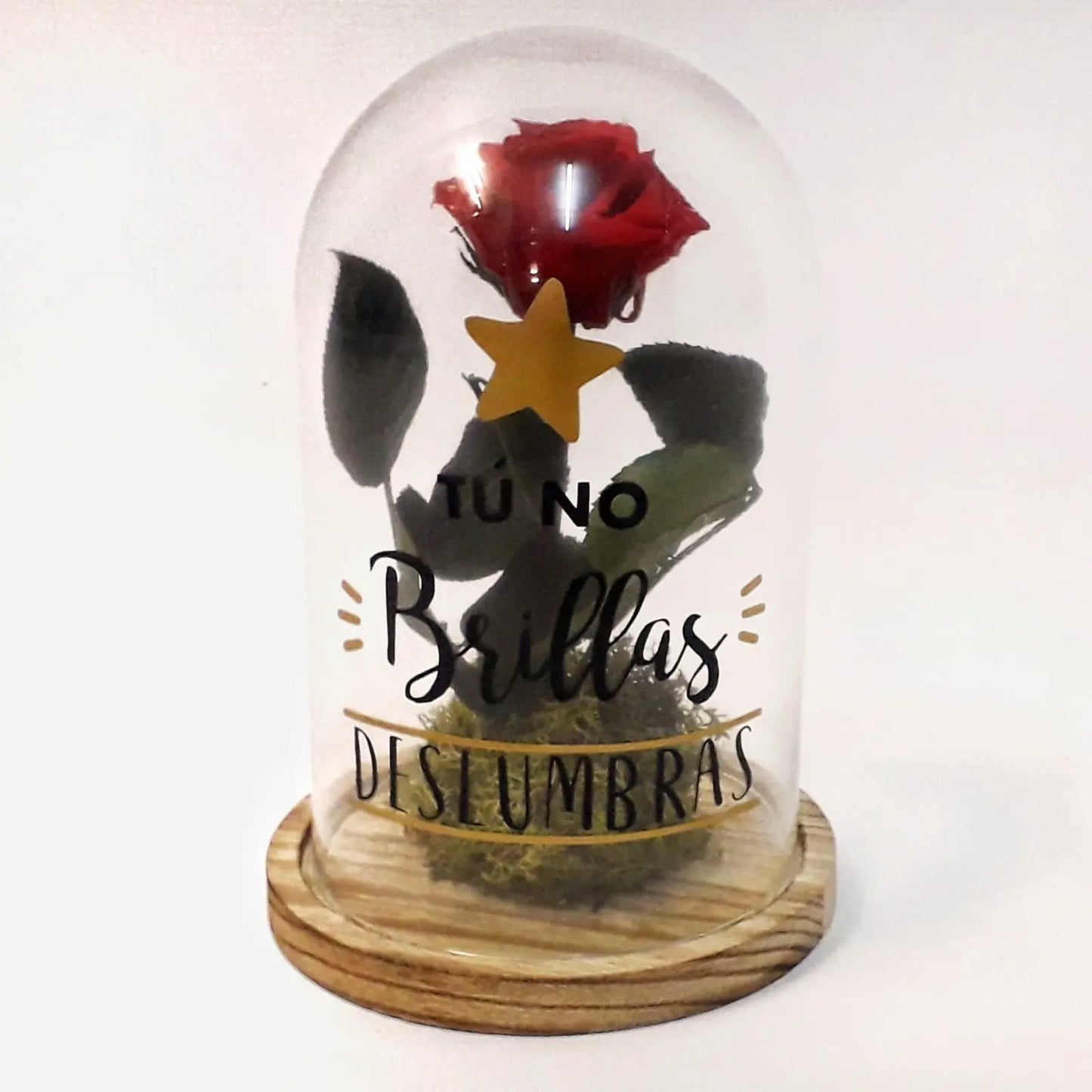 Cúpula con Rosa Tú Deslumbras - Parada Obligada